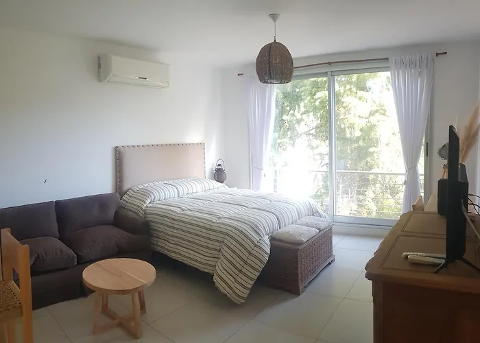 Tigre Studio Apartment