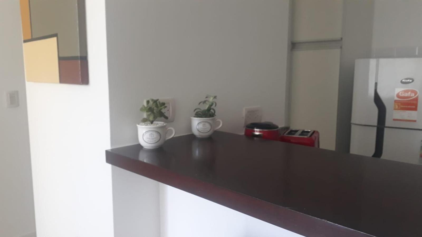 Tigre Studio Apartment *
