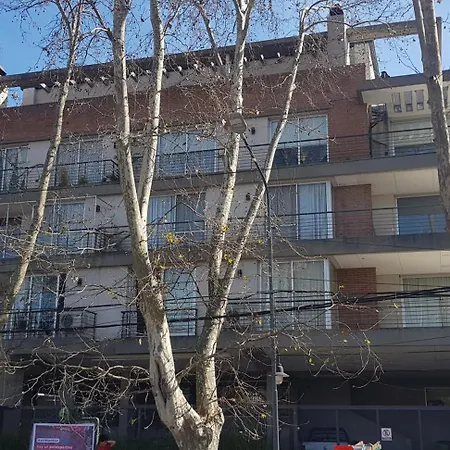 Tigre Studio Apartment Exterior photo