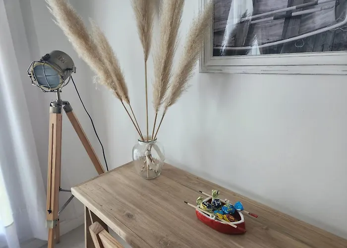 Tigre Studio Apartment