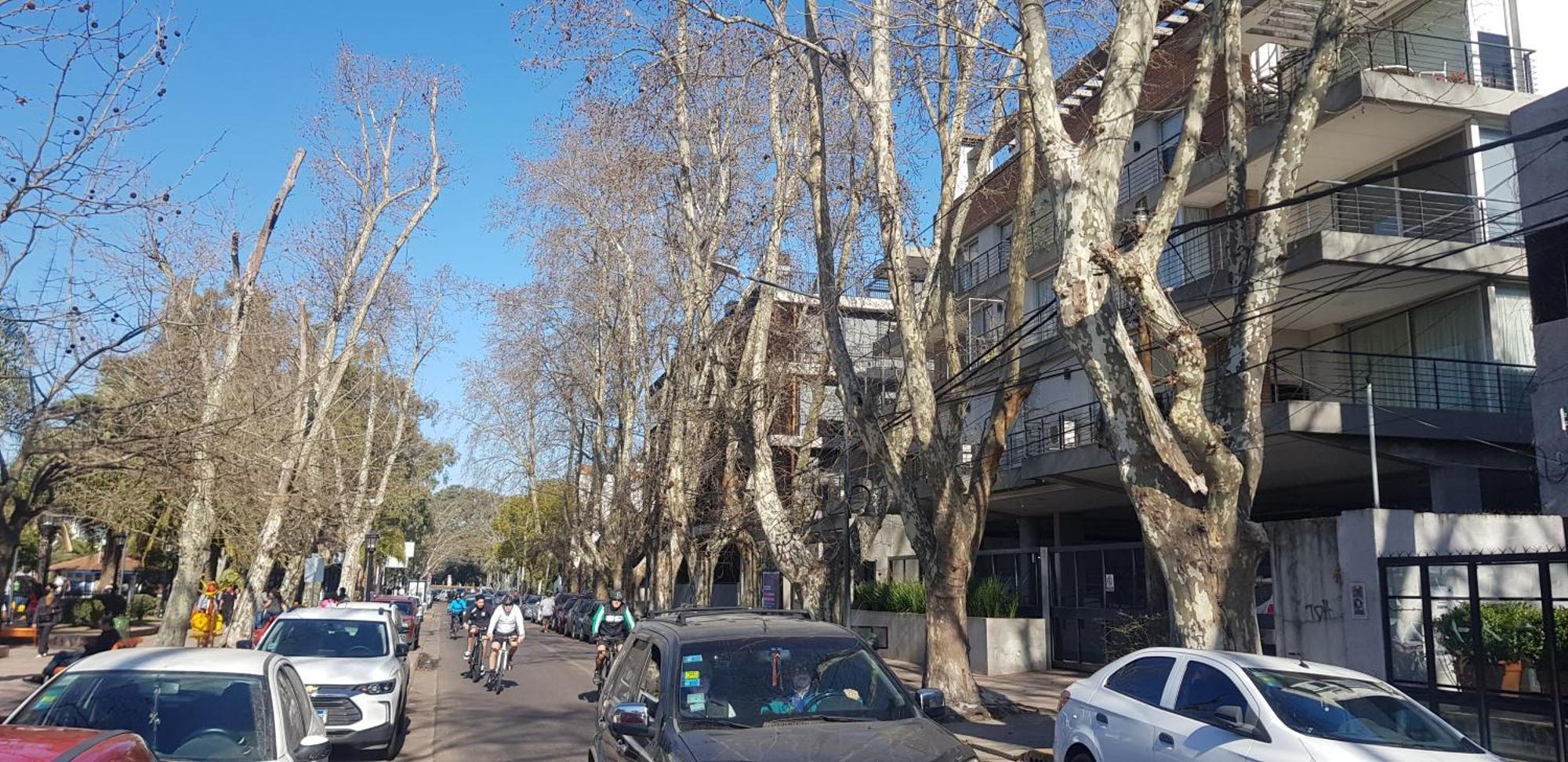 Tigre Studio Apartment Apartamento Tigre